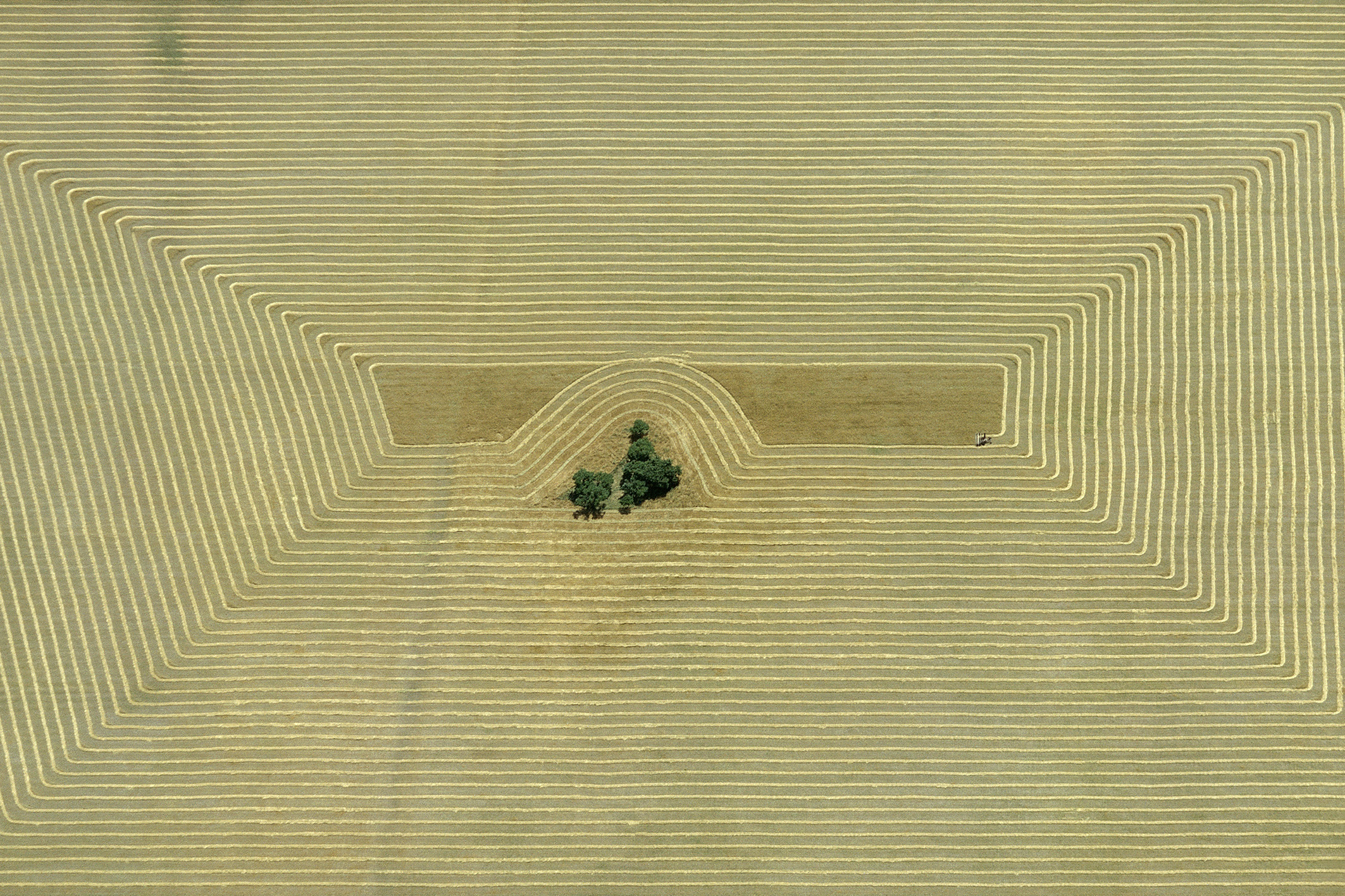 Georg Gerster, Harvest pattern, Argentina, 1967
Inkjet printed with pigmented Epson Ultra Chrome K3, on Epson Exhibition Fiber Paper
100 x 150 cm
Edition of 8 + 2 AP