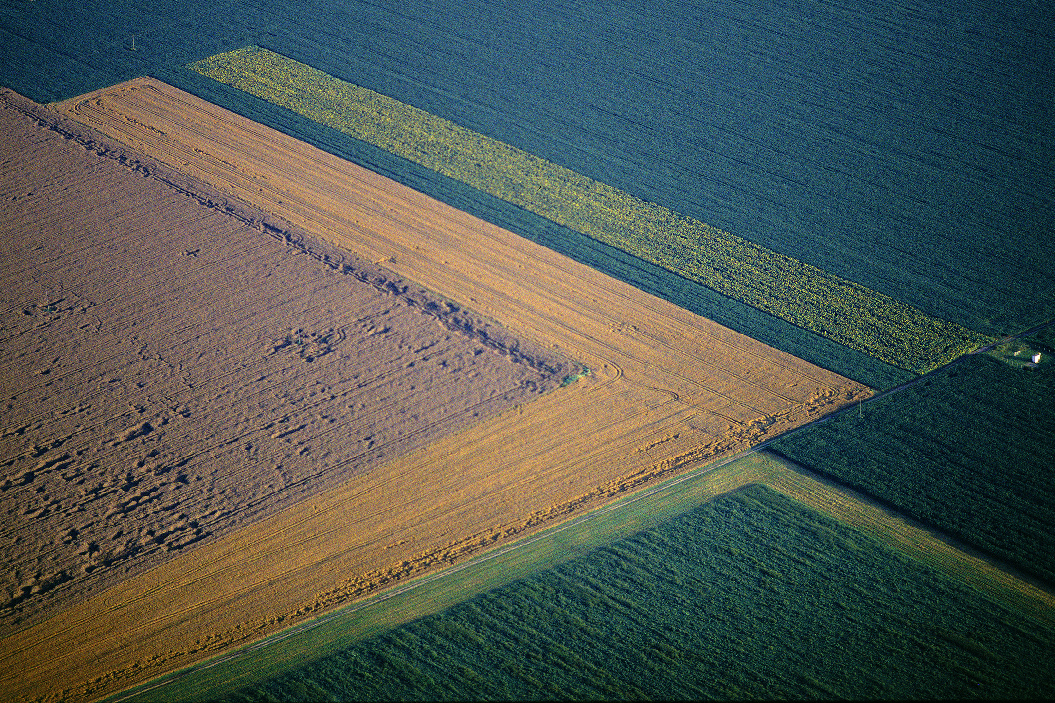 Georg Gerster, Harvesting rape, Hungary, 2009
Inkjet printed with pigmented Epson Ultra Chrome K3, on Epson Exhibition Fiber Paper
100 x 150 cm
Edition of 8 + 2 AP