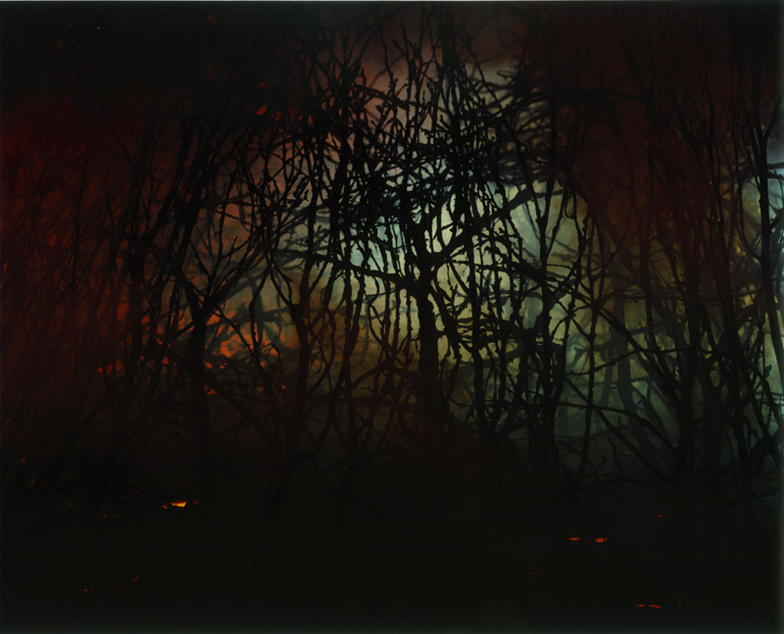 Sonja Braas, Forest Fire, 2006
C-print diasec, wood frame
160 x 199,5 cm
Edition of 8 + 2 AP
