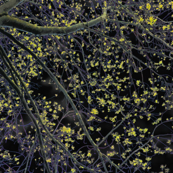 Sonja-Maria Schobinger Sonja-Maria Schobinger