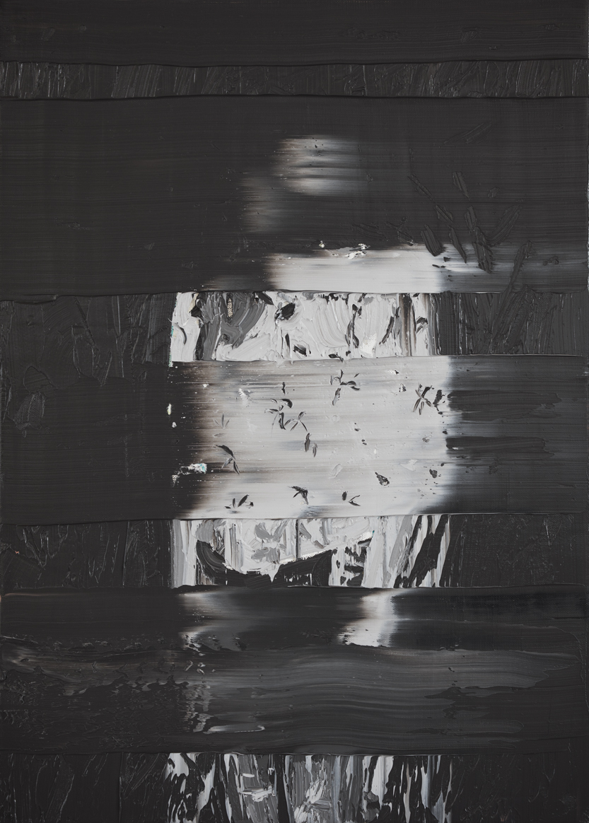 Andy Denzler, Random Noise II, 2016
Oil on canvas
70 x 50 cm
