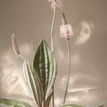 Sonja-Maria Schobinger Sonja-Maria Schobinger