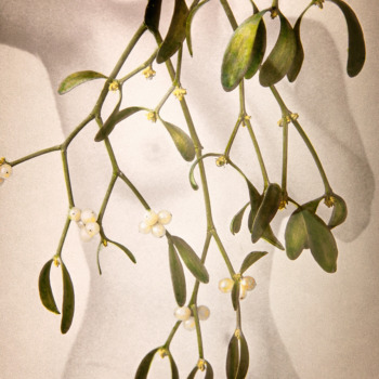 Sonja Maria Schobinger Sonja Maria Schobinger