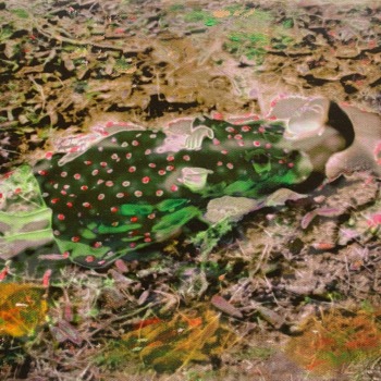 A. Strba, Nyma 569-12, 2012, 20 x 30 cm, Unikat, sig., Pigmentdruck : Ölfarbe auf Leinwand