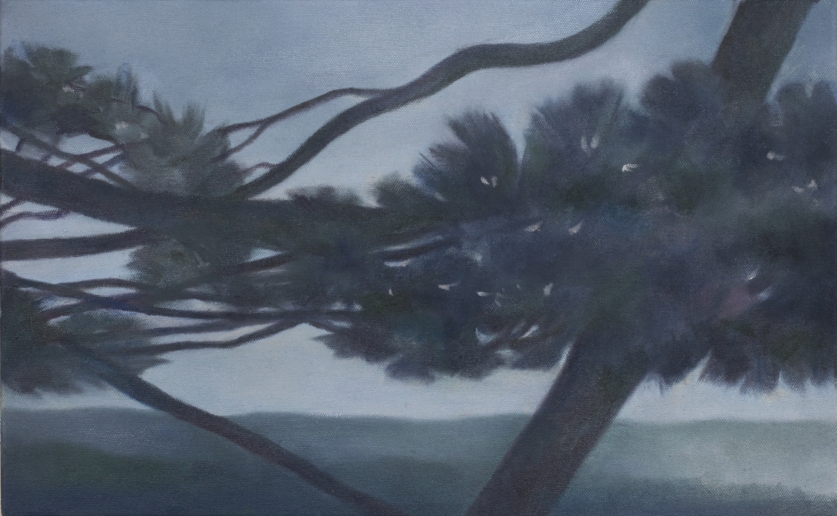 Angela Lyn, passage II, 2019
Oil on canvas
26 x 42 cm