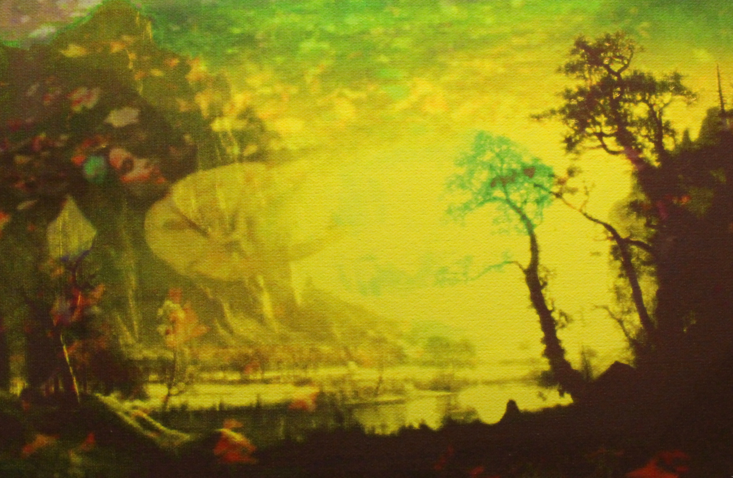 Annelies Štrba, NYIMA 534, 2012
Pigment print on canvas, mixed media
20 x 30 cm
Unique