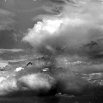 Balthasar Burkhard, Wolke mit Vogel, 2003