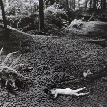Wynn Bullock, Child in the Forest, 1954