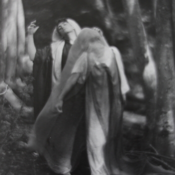 Imogen Cunningham, The Wood Beyond the World, 1912
