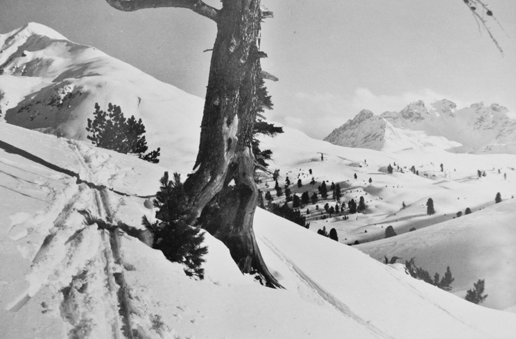 Grass Grass, Giuf Plaun mit Piz Daint, 1950s
Gelatin silver print
30 x 40 cm
Edition of 10