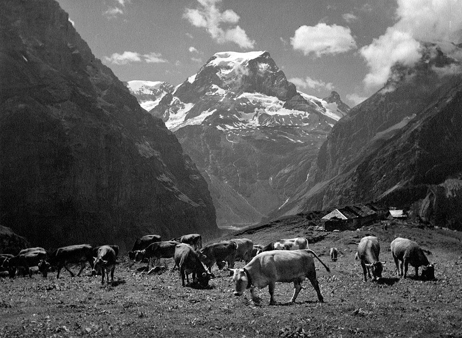 H.Schönwetter-Elmer, 1950s
