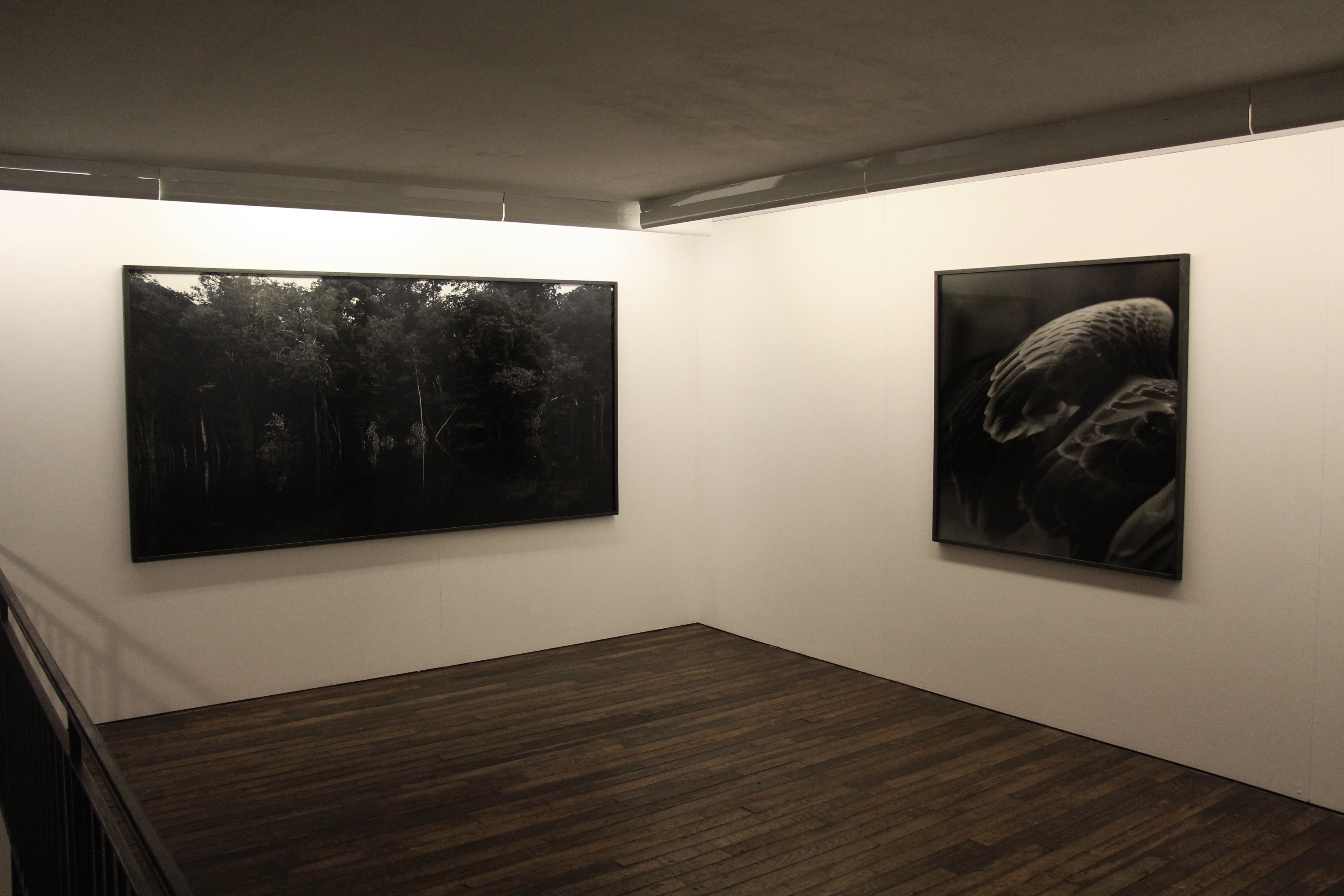 Installation view, Balthasar Burkhard, Fabian & Claude Walter Galerie
