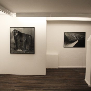 Installation view, Balthasar Burkhard, Fabian & Claude Walter Galerie