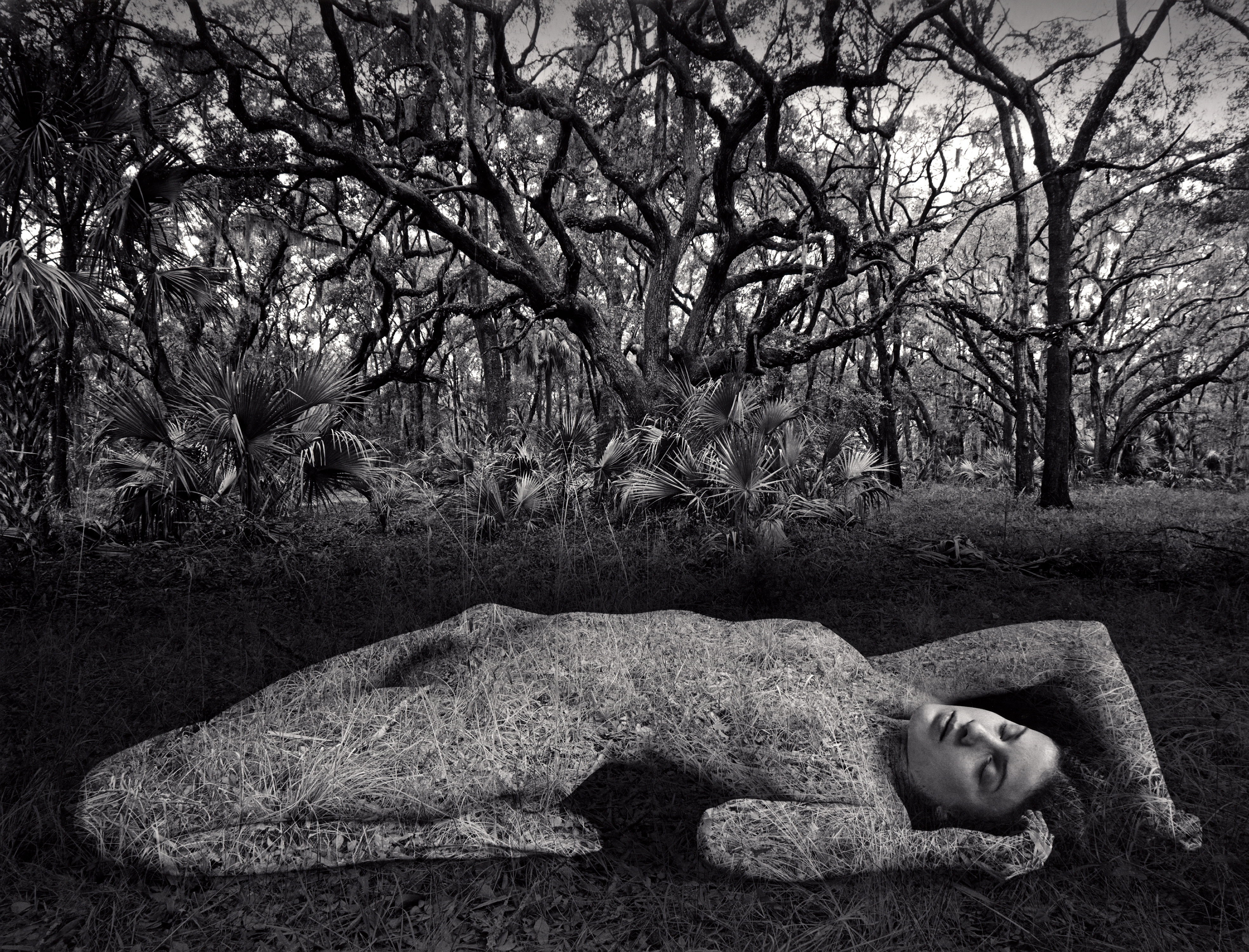 JERRY UELSMANN - Fabian & Claude Walter Galerie
