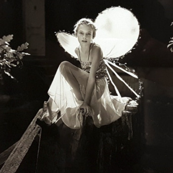 Jock Sturges (USA, *1947)