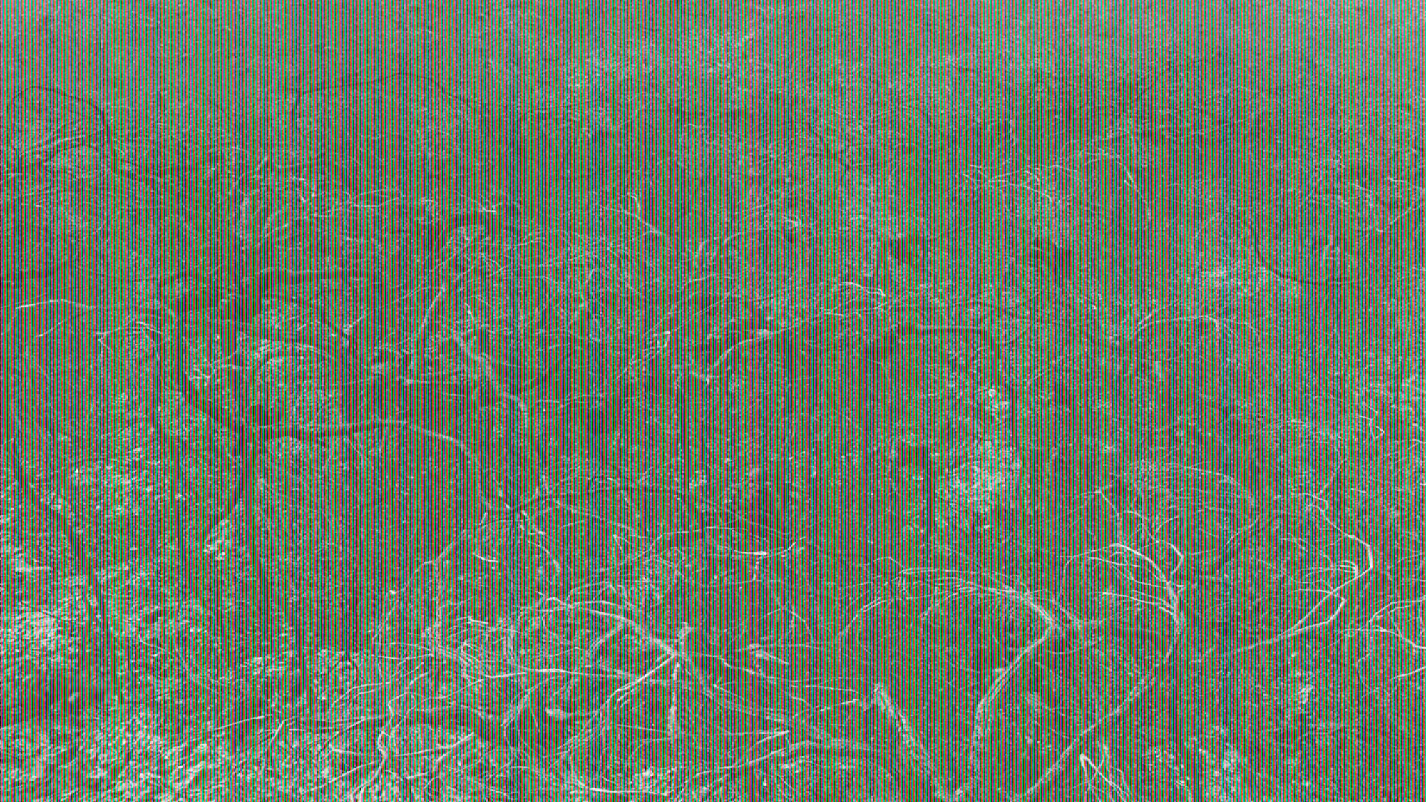 Michel Huelin, Landscape 6, 2014
Lambda Print
90 x 160 cm