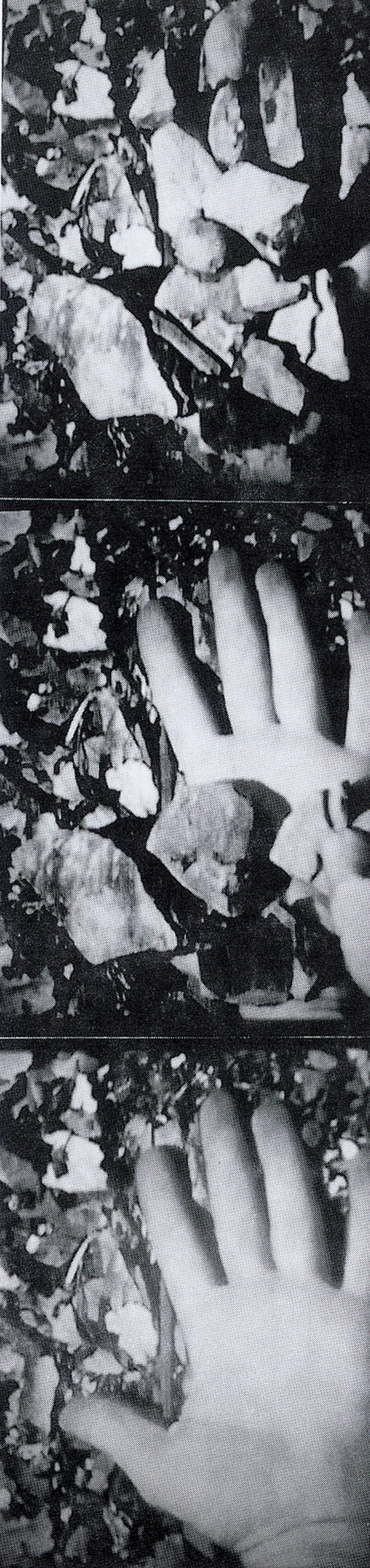 Rocked Hand, 1970
Photography