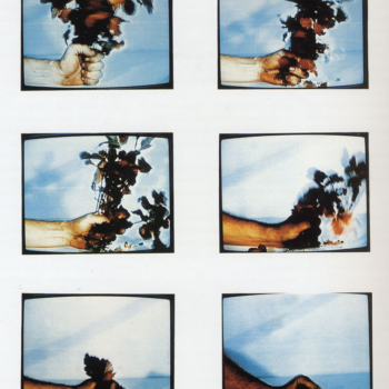Dennis Oppenehim, Compression Poison Oak, 1970