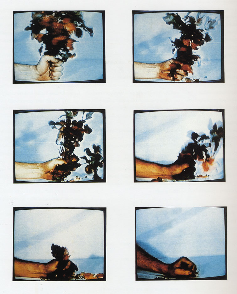 Compression Poison Oak, 1970
Photo documentation
60