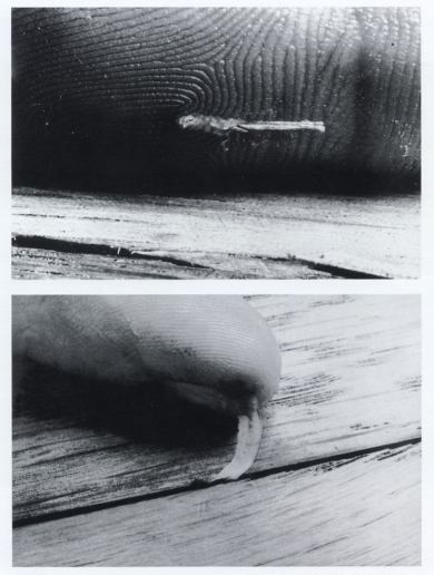 Dennis Oppenehim, Material Interchange, 1970
Stage1: fingernail lodged between gallery floorboards
Stag2: splinter form gallery floorboards lodged under skin,
Stills form 8 mm film, b/w