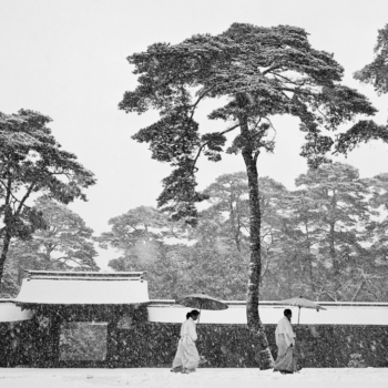 Werner Bischof, Courtyard of the Meiji shrine, 1951