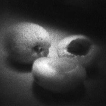 Camera Obscura 44, 1996