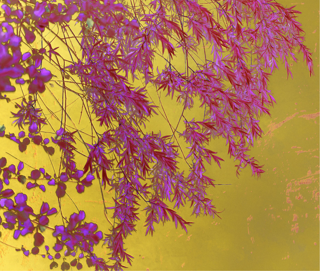 Sonja Maria Schobinger, Tasogare, 2025
Fine Art Pigment Print auf Hahnemühle 
77 x 90 cm, Edition von 5 + 2 AP