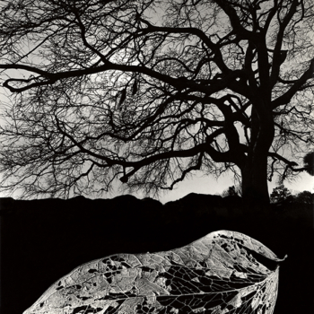Jerry Uelsmann, Untitled, 1967