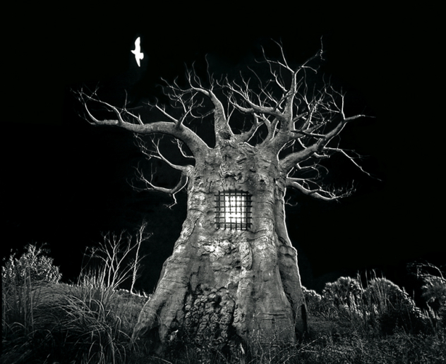 Jerry Uelsmann, Untitled, 2003
Gelatin silver print
40,6 x 50,8 cm 
Signed and dated by photographer recto