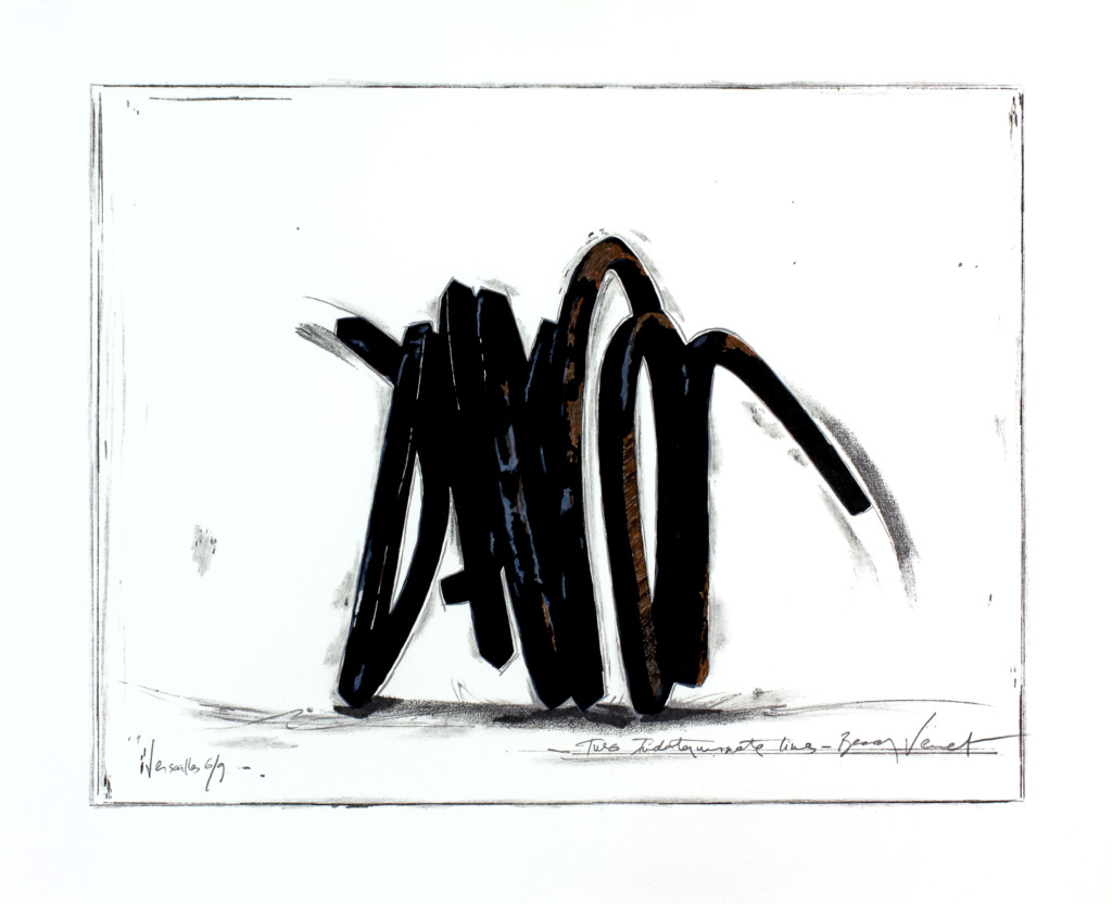 Bernar Venet, Two indeterminated lines, 2006
Lithograph on Moulin de Gué wove paper
39 x 51 cm
Edition of 9