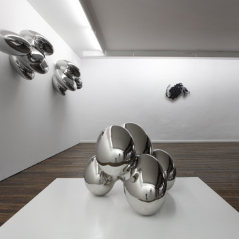 Installation view, Carlo Borer, Random Perception