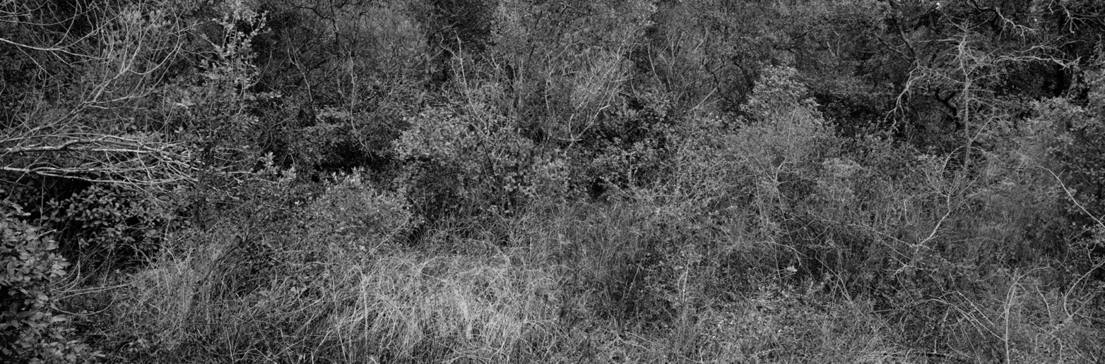 Christian Vogt, Naturräume XI, 2008
Pigmented ink on rag paper
110 x 290 cm
Edition of 3
